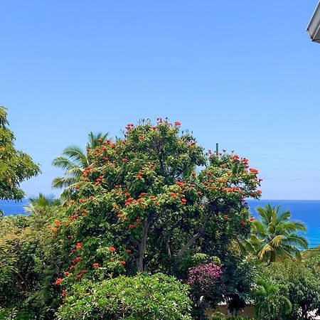 A Little Aloha Leilighet Kailua-Kona Eksteriør bilde